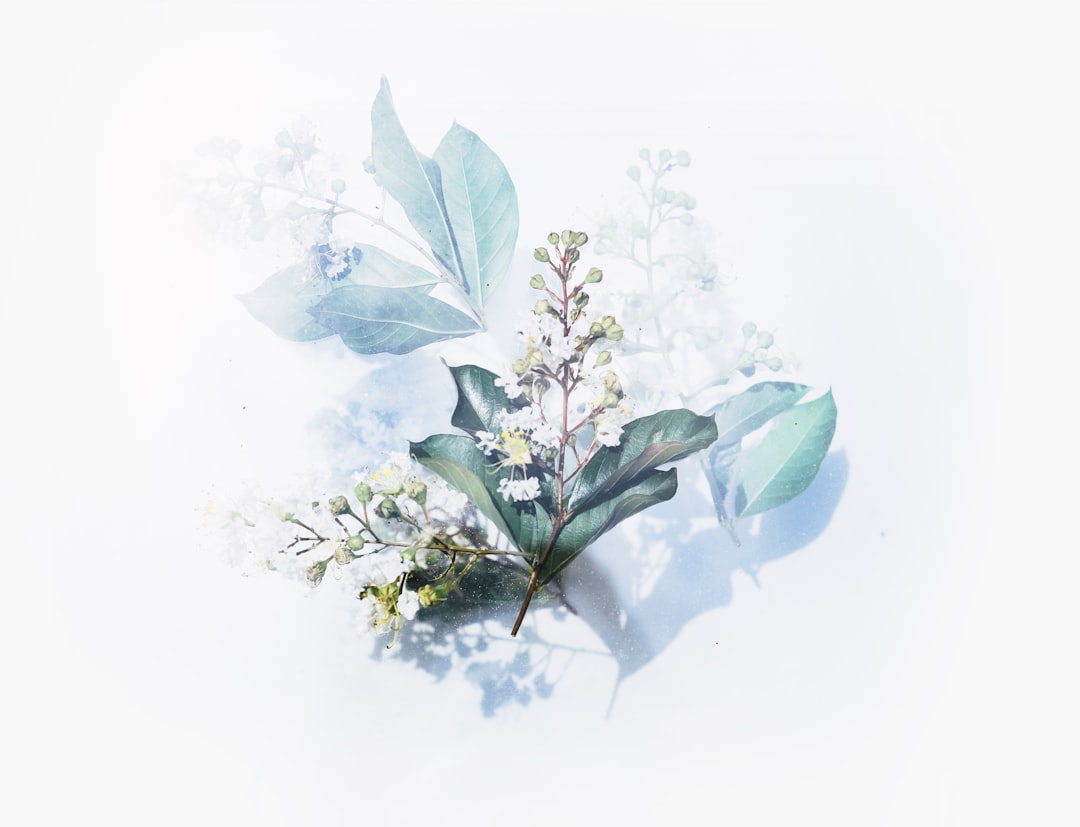 Photo Botanical illustration