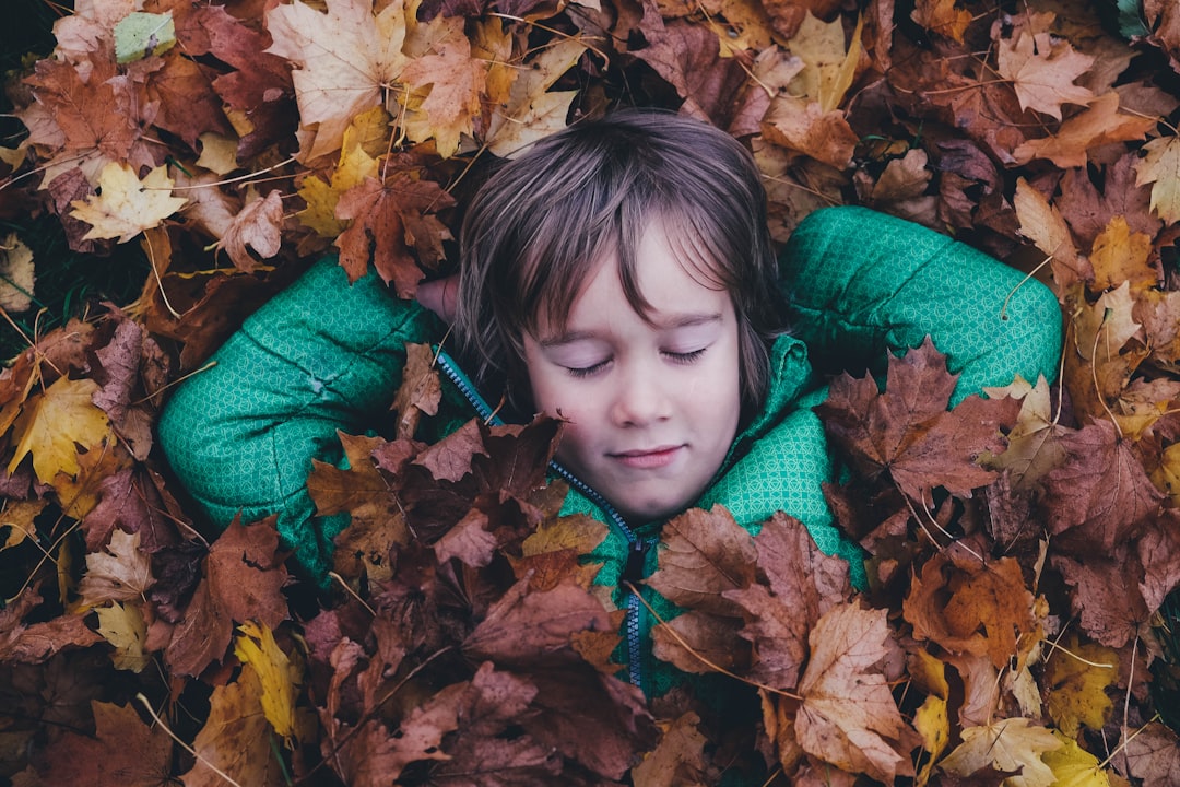 Photo Forest floor
