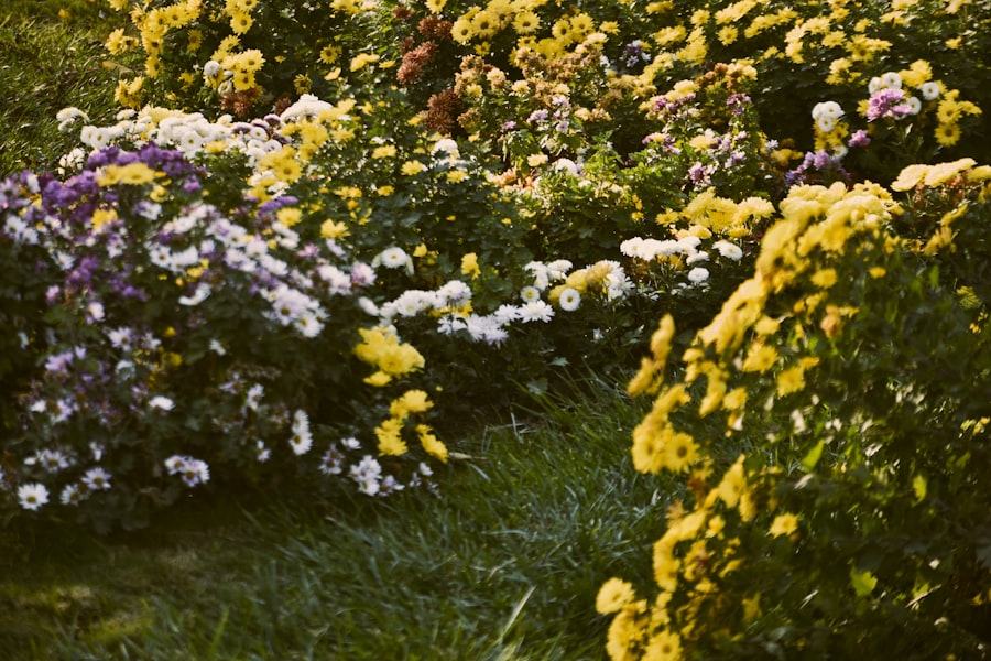 Lush foliage