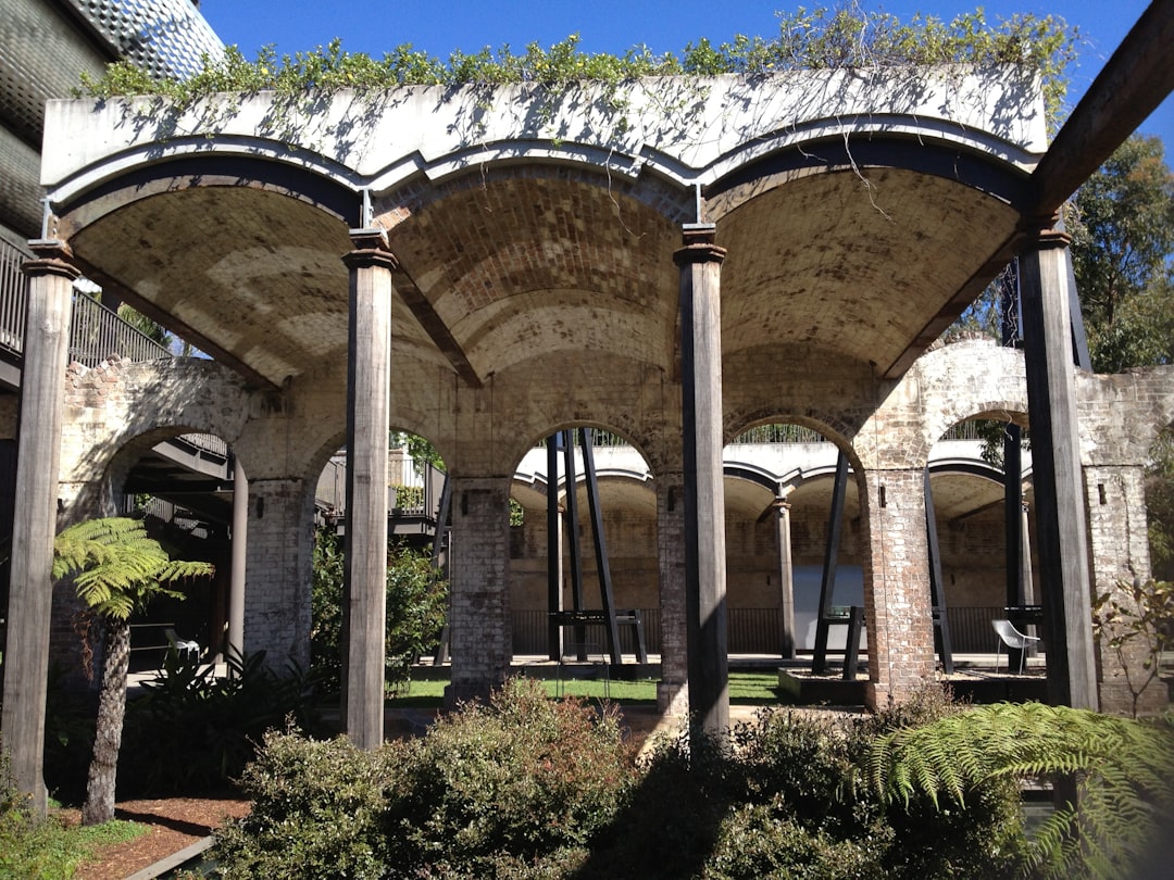 Discover the Benefits of Equisetum Bogotense