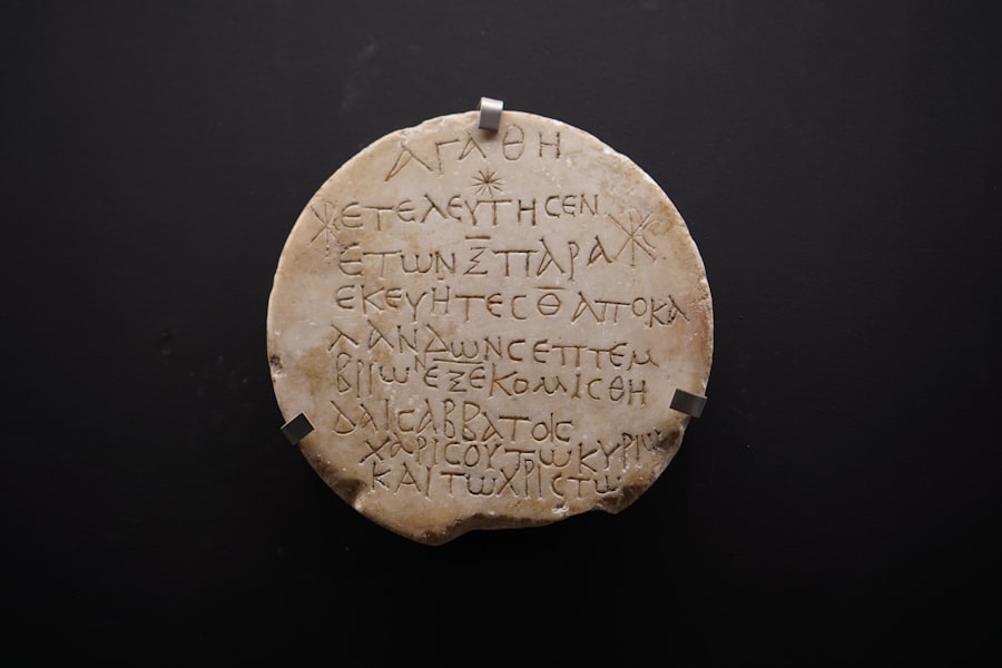 Photo Cyathea divergens